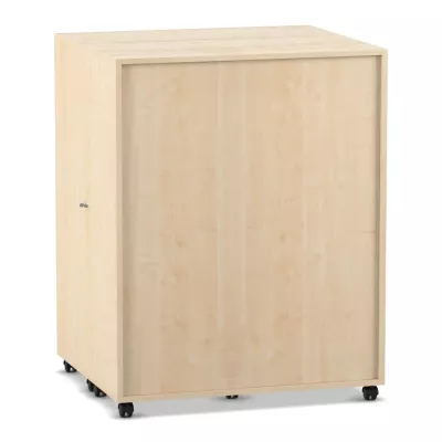 Schrank, Rollregal, Holz, Korpusmobil, mit Rollen