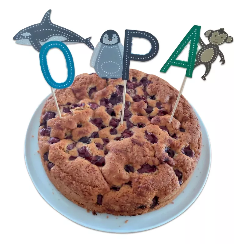 kuchen, kuchen mit schokoladenstücken, herbstkuchen, fruchtkuchen, backwaren