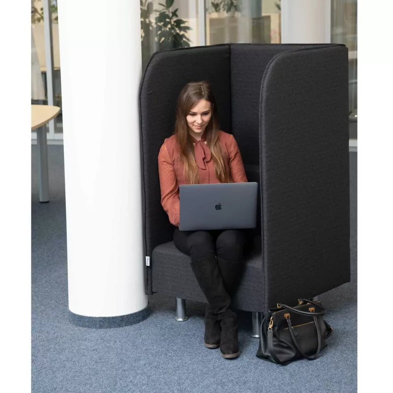 Sessel, Sitzkorb, Laptop, Einsitzer, Arbeitsplatz