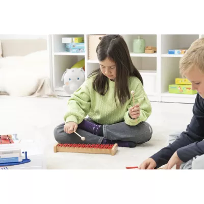 Kinderspielzeug, Malinstrument, Xylophon, Holz, Grün