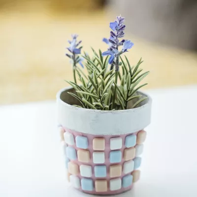 Topfpflanze, Lavendel, Keramiktopf, Pastellfarben, Pflanzenarrangement
