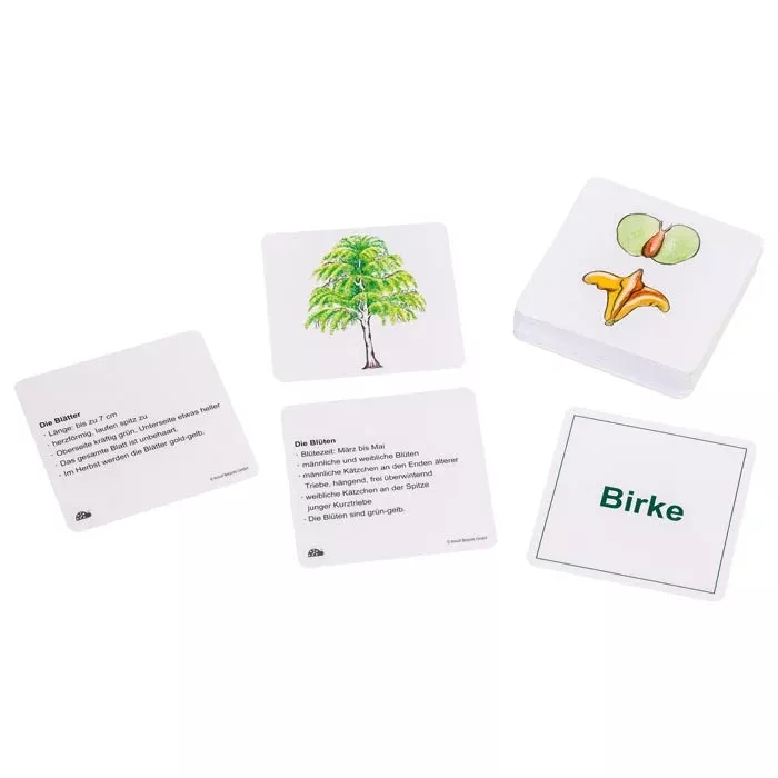 Kartenset, Bilderkarten, Baum, Birke, Blumenkarten