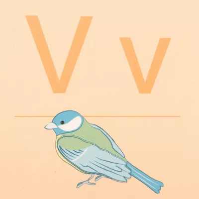 Vogel, Wildtier-Plakat, Vogel-Illustration, Pastellfarben, Kunstdruck