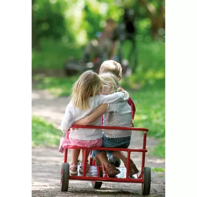 Kinder, Pferdekutsche, Rutschauto, Sommer, Park
