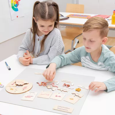 Puzzle, Bildungsspiel, Kinder Spiel, Holzteile, Lernbrett