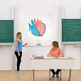 Projektionsfläche, feste Montage