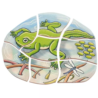 Frosch, Froschbild, Graffiti-Stil, Lebensraum, Klimmelei