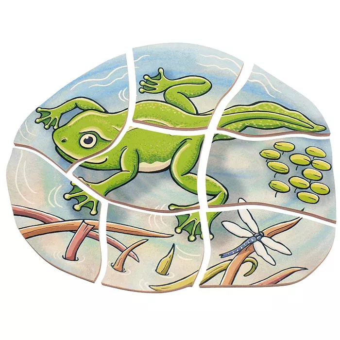 Frosch, Froschbild, Graffiti-Stil, Lebensraum, Klimmelei