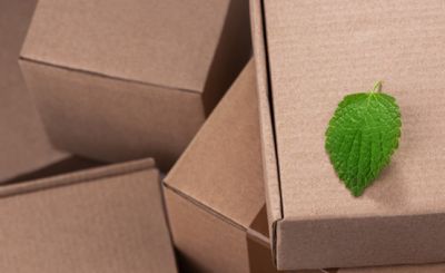 Pappe, Schachtel, Verpackung, grünes Blatt, umweltfreundlich