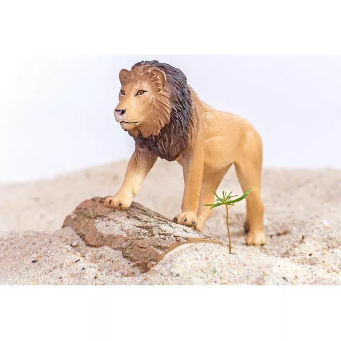 Löwe, Tierfigur, Miniaturen, Sandlandschaft, Felsblock
