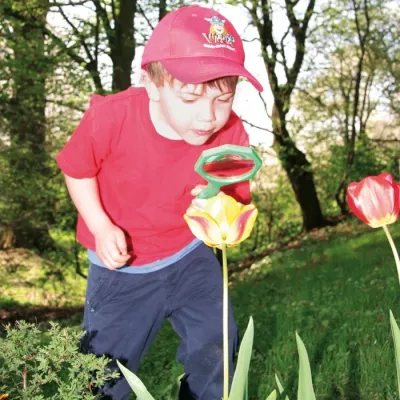kind, rotes shirt, cap, gartenarbeit, tulpe