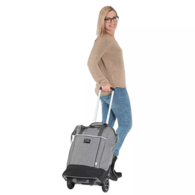 rollende Koffer, Trolley, Gepäckwagen, Reisegepäck, Koffer