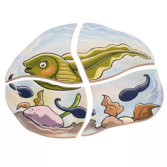 fossil, fish, sea creature, underwater, puzzle pieces