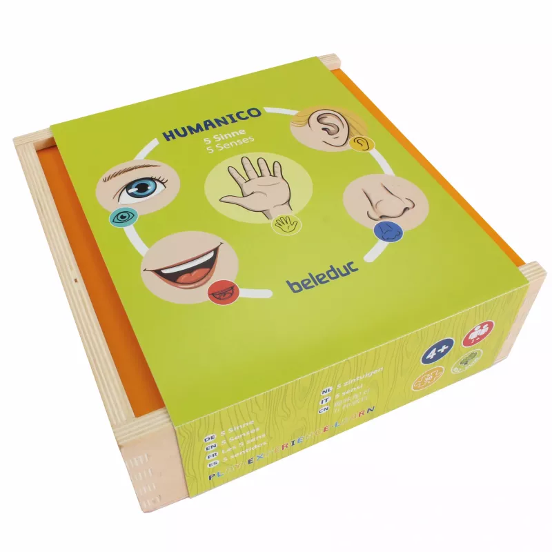 Kinderspielzeug, sensorische Box, Hand-Auge-Koordination, Frühreife, Entwicklungsbox