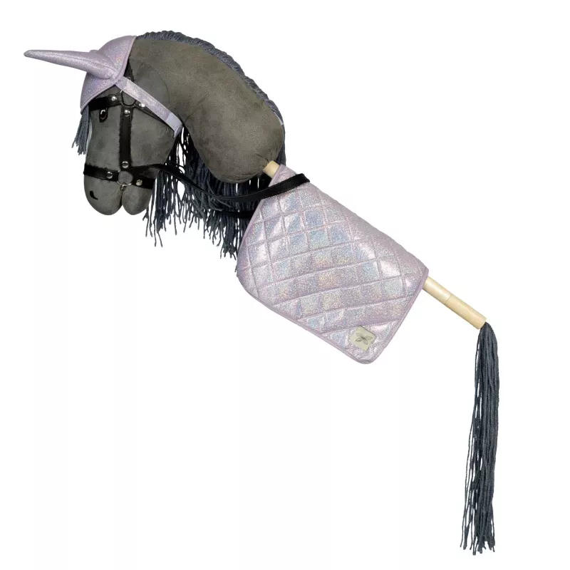 Pferd, Steckenpferd, Halter, Glitzer, Satteldecke