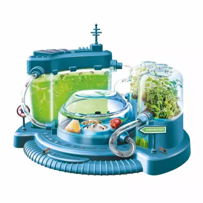 okto lab, insektenzucht, aquarium, mini terrarium, labuzin