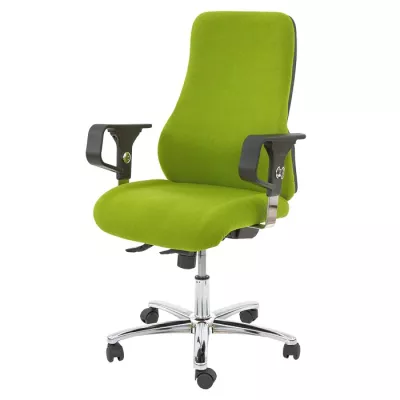 Büro-Stuhl, Ergonomischer Stuhl, Rollenstuhl, Grüne Farbe, Schreibtischstuhl