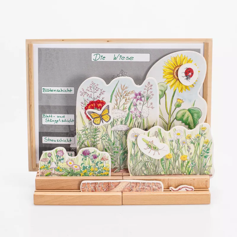 holzspiel, naturpuzzle, pflanzen, insekten, blumen