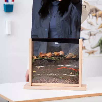 Insektenhaeuse, Terrarium, Glasdisplay, Holzrahmen, Pflanzenreste