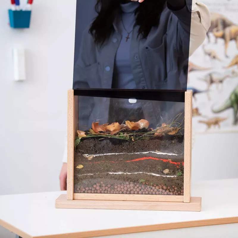 Insektenhaeuse, Terrarium, Glasdisplay, Holzrahmen, Pflanzenreste