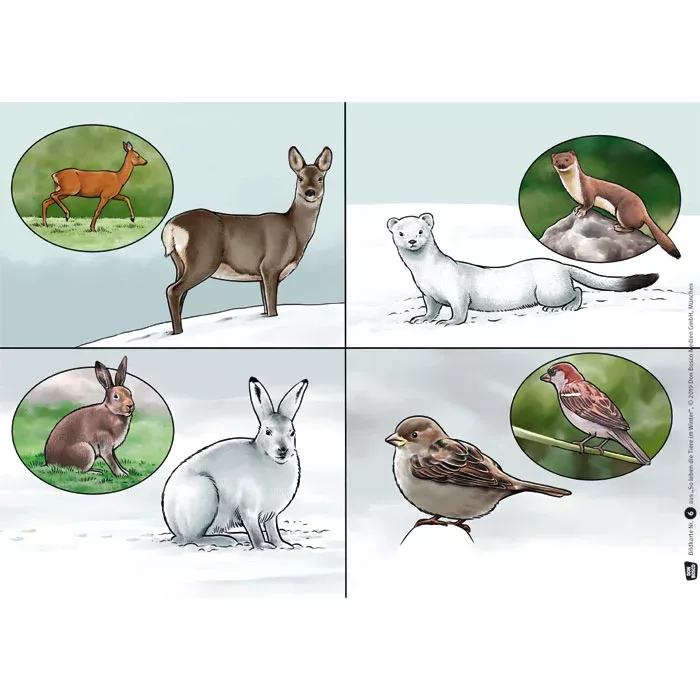 Reh, Hirsch, Kaninchen, Vogel, Schneelandschaft