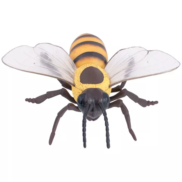Insektenmodell, Honigbiene, gelb-schwarz Streifen, Kunststofffigur, Flügelmodell