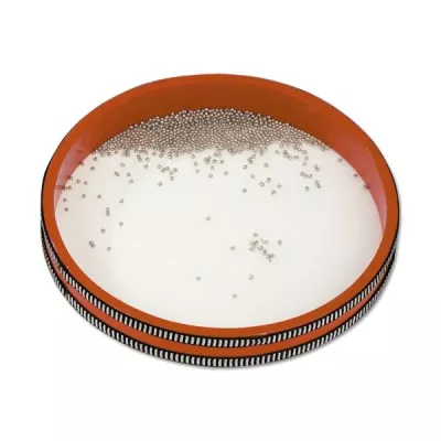 Sardinenbüchse, Milch, eingedickt?, Schale?, Metallrand