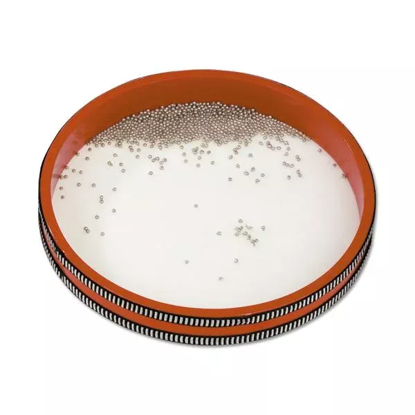 Sardinenbüchse, Milch, eingedickt?, Schale?, Metallrand