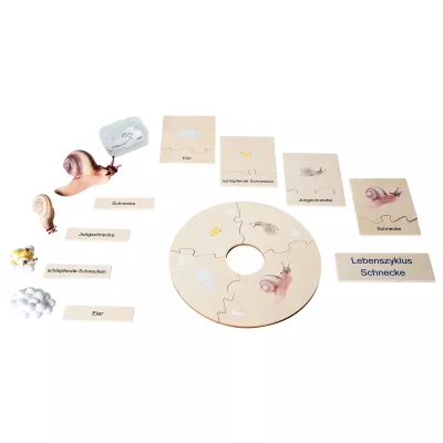 Holzpuzzle, Schnecken-Spiel, Eier, Lebenszyklus, Puzzle-Set