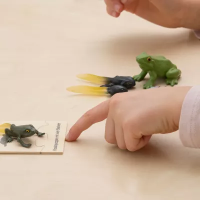 Spielzeugfiguren, Frosch, Figurenmodell, Kleinst-Modelle, Interaktives Spielzeug