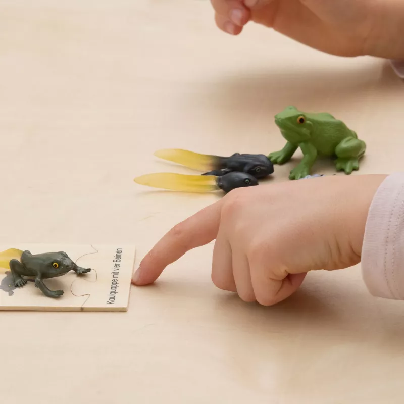 Spielzeugfiguren, Frosch, Figurenmodell, Kleinst-Modelle, Interaktives Spielzeug