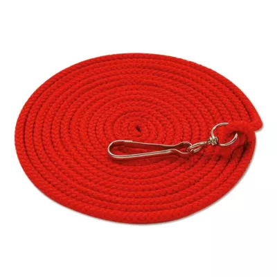 Lanyard, Schnur, Kabelhalter, Schlüsselband, Rot