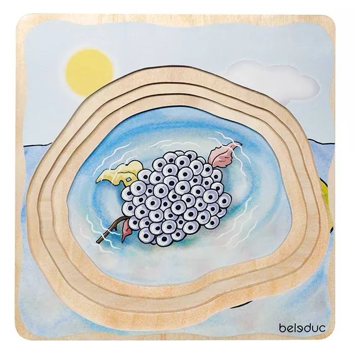Puzzlespiel, Holzpuzzle, Beeren, Beere, Graphik puzzle