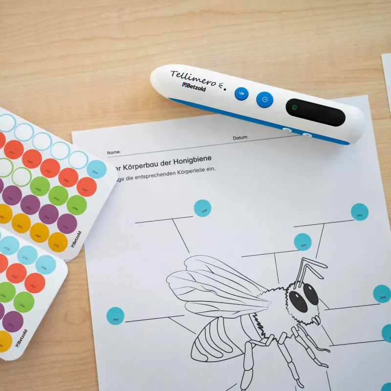 Insektenzeichnung, bunte Aufkleber, Beschriftungskarte, Testgerät, Bildungsmaterial