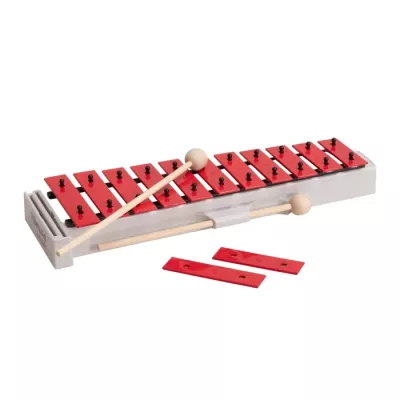 Schulexperiment, Musikinstrument, Mini-Xylophon, Holzplatte, Stöcke