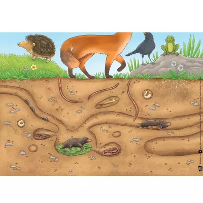 fossile wurmer, unterirdische graben, mole, earthworms, amphibien beute