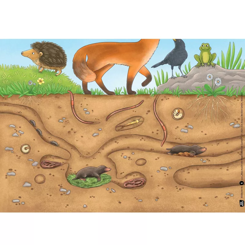 fossile wurmer, unterirdische graben, mole, earthworms, amphibien beute
