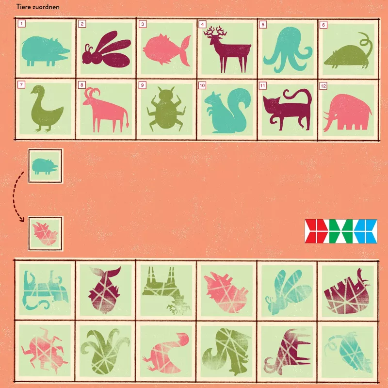 Schwein, Fisch, Hirsch, Oktopus, Katze