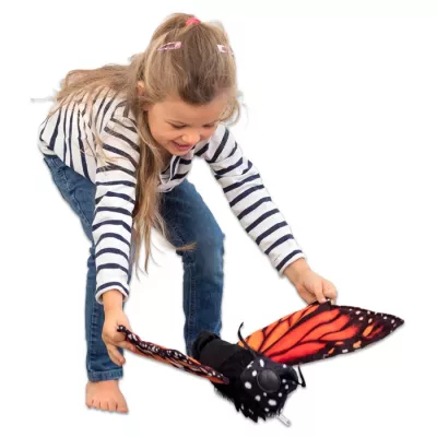 Kinder, Schmetterling, Spielzeug, Flügel, Kostüm