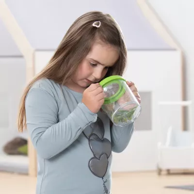 Glasbehälter, grüner Deckel, Kräuterbehälter, Kinderwerkzeug, transparentes Gefäß