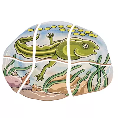 Frosch, Fisch, Unterwasser, Kunststoff, Tierisch