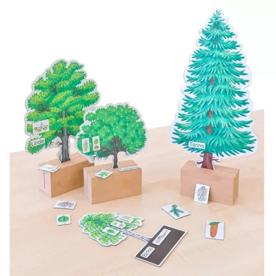 Holzbaum, Pflanzenspiel, Bildungsspiel, Baumarten, Holzbasis