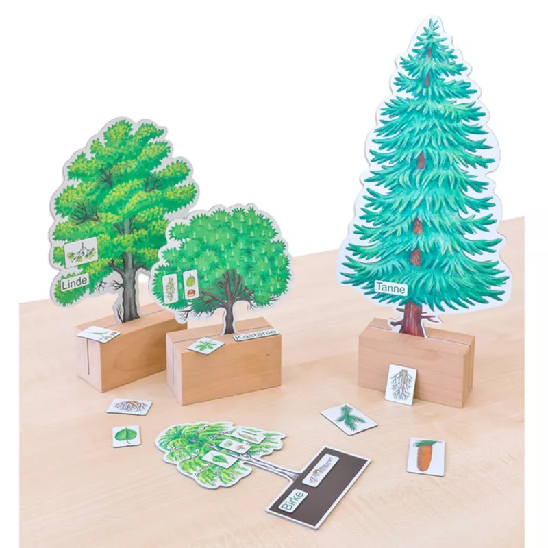 Holzbaum, Pflanzenspiel, Bildungsspiel, Baumarten, Holzbasis