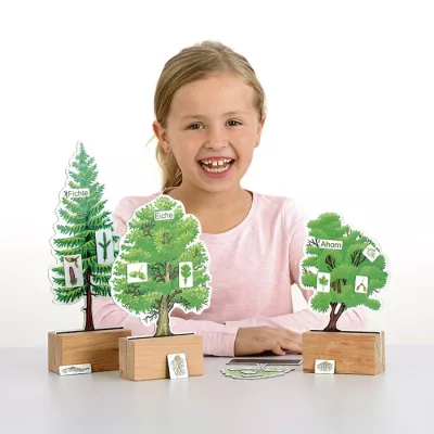 Holzspielzeug, Lernspiel, Bäumchen, Naturholz, Bildkarten