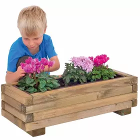 Blumenkasten – Was blüht denn da?
