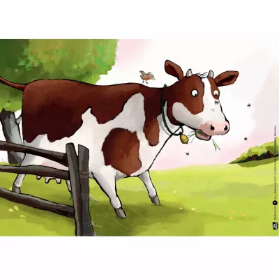Kuh, Rind, Weide, Zäune, Tierbild