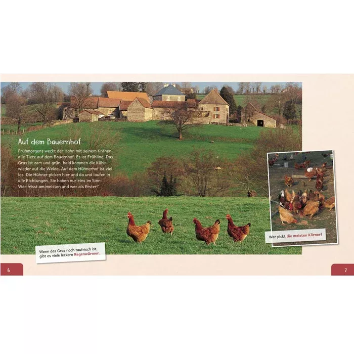 Hühner, Herde, Bauernhof, Garten, Hühnerstall?