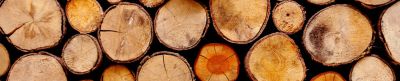 Holzstämme, Rundholz, Baustoffe, Holzscheiben, Schnittholz