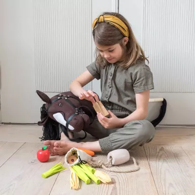 Kinder, Spielzeug, Steckenpferd, Holzspielzeug, Kaufladen