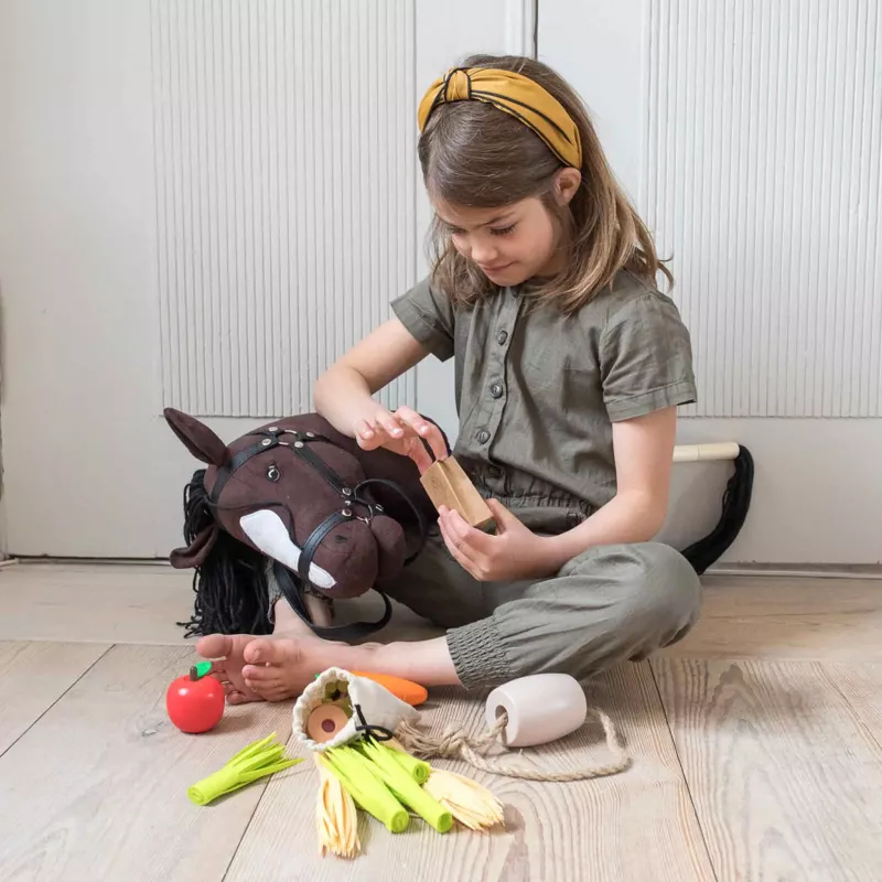 Kinder, Spielzeug, Steckenpferd, Holzspielzeug, Kaufladen